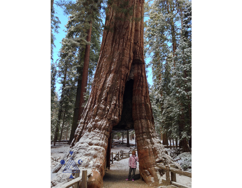 An* en Yosemite Park