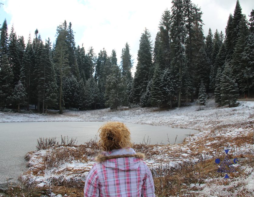 An* en Monte Shasta