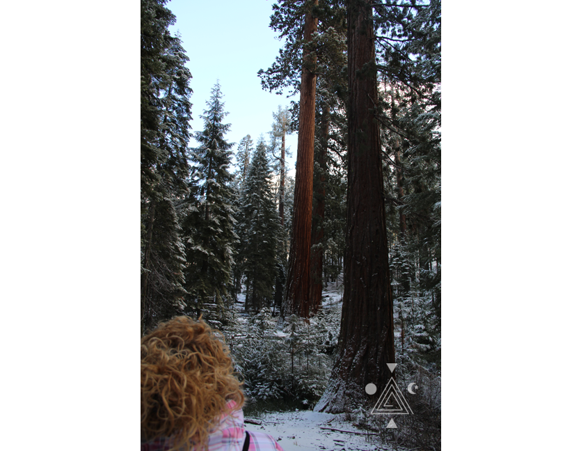 An* en Yosemite Park