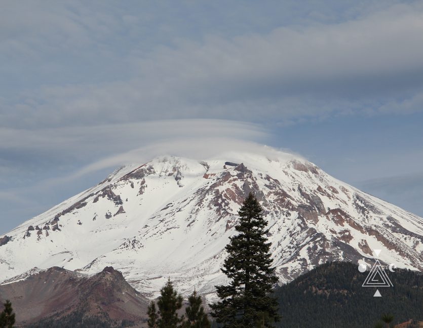 Monte Shasta